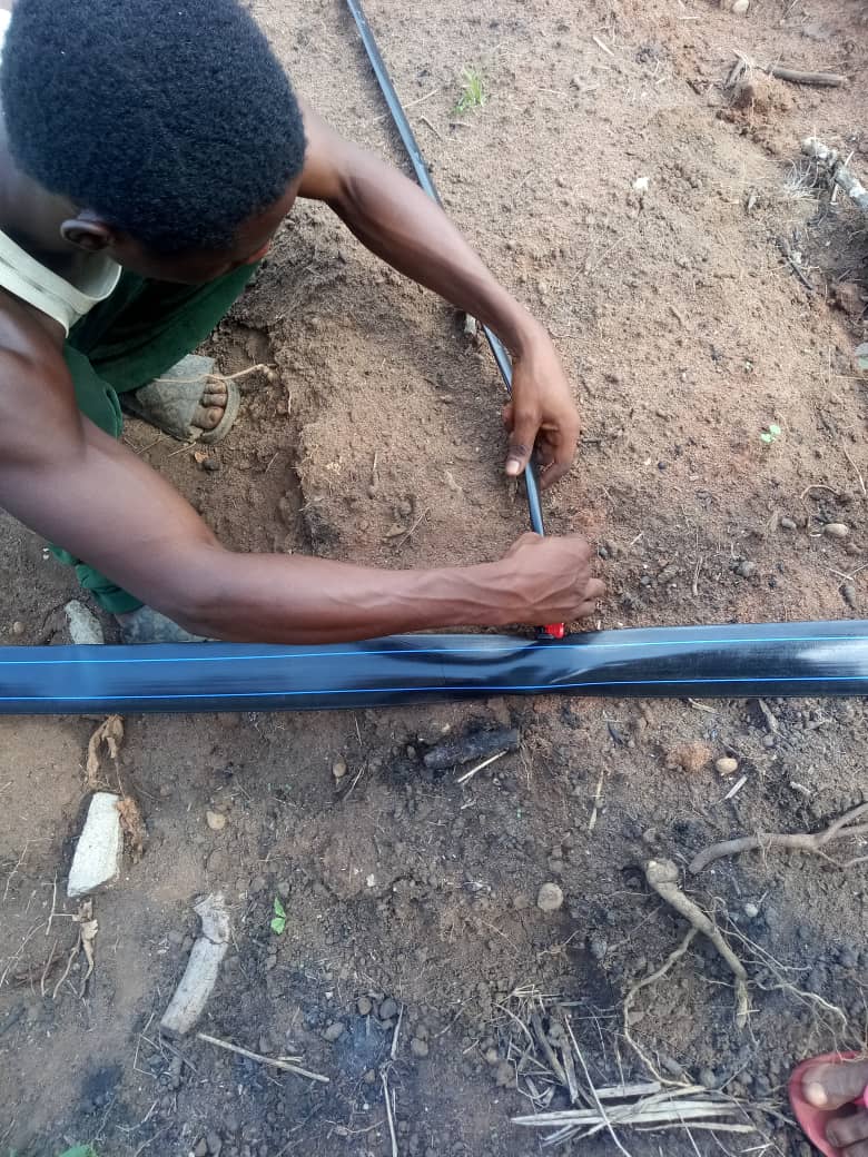 WhatsApp Image 2024-06-24 at 2.50.57 AM (4)