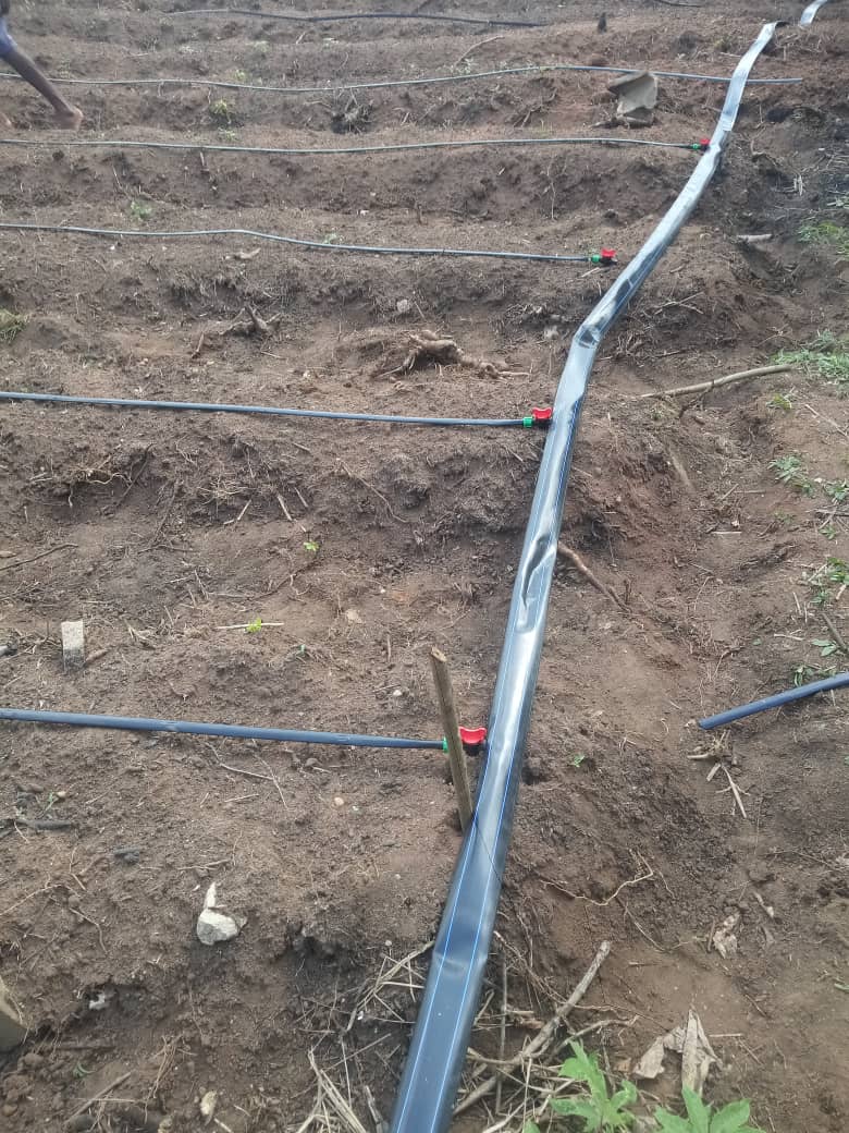 WhatsApp Image 2024-06-24 at 2.50.58 AM (1)