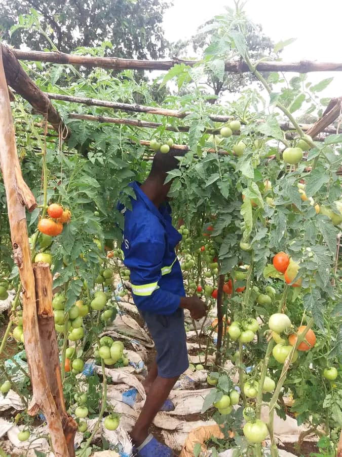 WhatsApp Image 2024-06-24 at 2.51.30 AM (3)